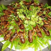 ve-sau-chien-gion-compressed-1